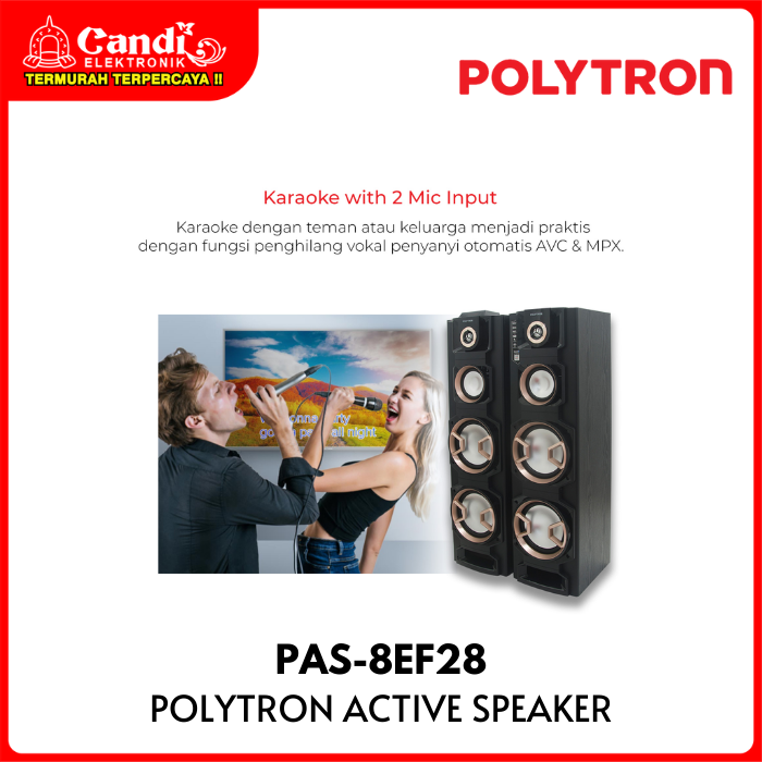 Polytron Active Speaker